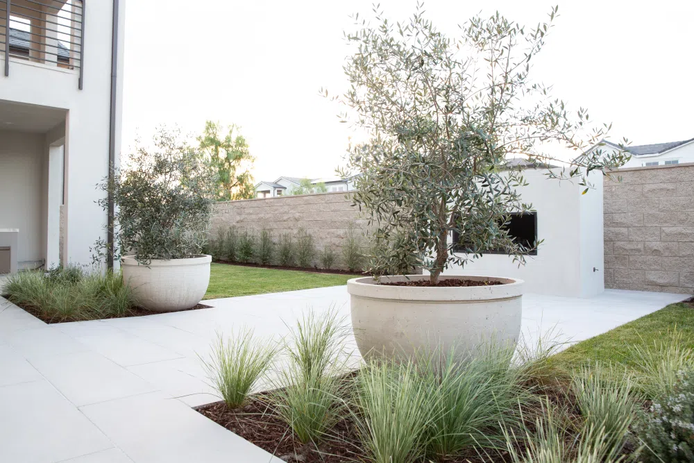 hardscaping-fireplace-willow-pots